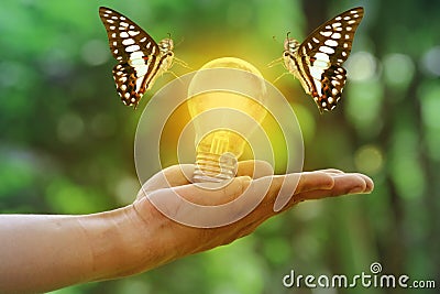Butterfly hand blub Stock Photo