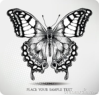 Butterfly hand drawing.Vector Vector Illustration