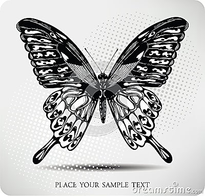 Butterfly hand drawing.Vector Vector Illustration