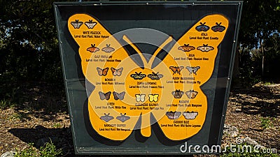 Butterfly Information Sign Displaying 24 Types of Butterfly Names Editorial Stock Photo