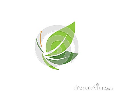 Butterfly leaf Logo Template Vector Illustration