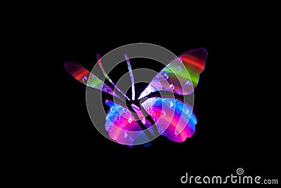 Butterfly Light Painting Image Stock Photo