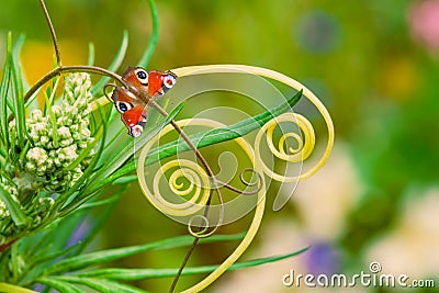 Butterfly in the meadow, field flowers and grass, beautiful summer landscape. Fabulous artistic image, Stock Photo