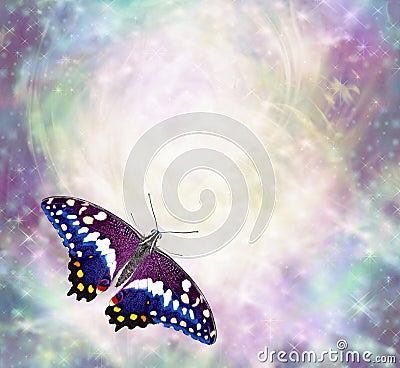 Butterfly messages border Stock Photo