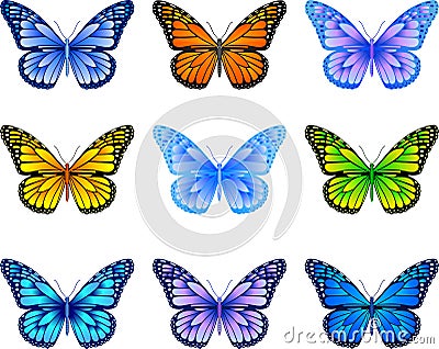 Butterfly mix Vector Illustration