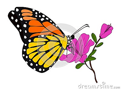 Butterfly Monarch Butterfly illustration vector Vector Illustration