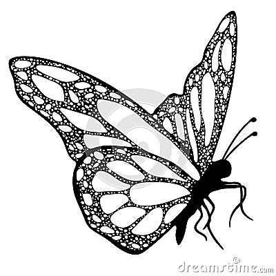 Butterfly, monochrome, coloring book Vector Illustration