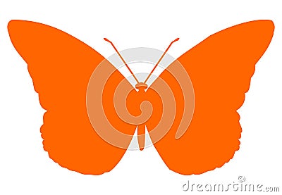 Butterfly Stock Photo