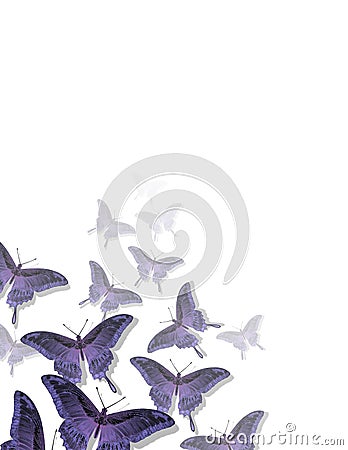 Butterfly Pattern Stock Photo