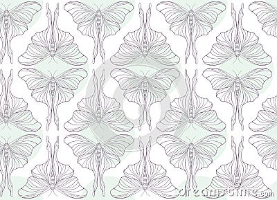 Butterfly pattern on white vector Vector Illustration