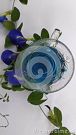 Butterfly pea flower tea, commonly known as blue tea, is a caffeine-free herbal tea Stock Photo