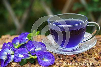 Butterfly Pea flower water in clear glass and butterfly pea flower Thai herbs Stock Photo