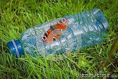 Butterfly posing in the garbage of a park Stock Photo