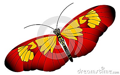 Butterfly with red yellow patterned wings. Summer moth Vector Illustration