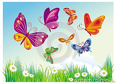 Butterfly's of blue sky Vector Illustration