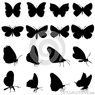 Butterfly set Vector Illustration