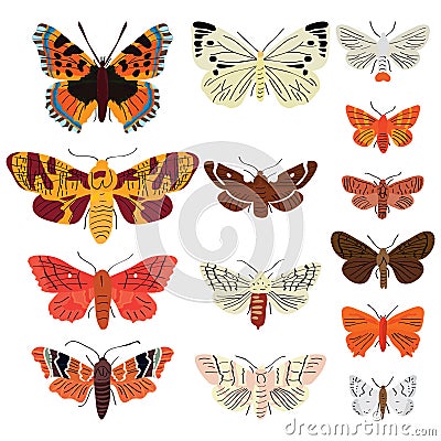 Butterfly set Vector Illustration