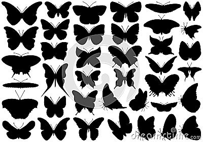 Butterfly Set Vector Illustration