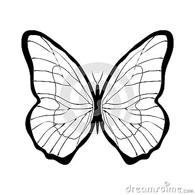 Butterfly graphics sign Cartoon Illustration