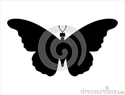 Butterfly silhouette vector art white background Vector Illustration