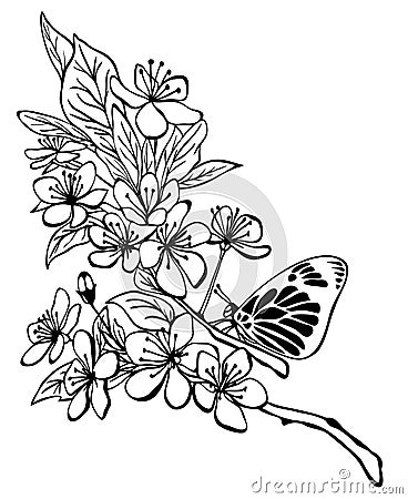 Butterfly sitting on a cherry blossom branch Vector Illustration