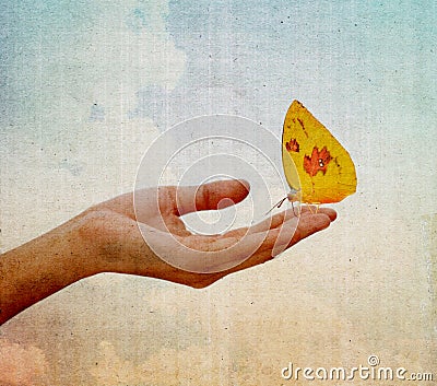 Butterfly sitting on the girl hand Stock Photo