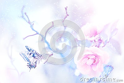 Butterfly in the snow on pink roses in a fairy garden. Artistic Christmas image. Stock Photo