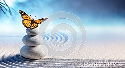 Butterfly On Spa Massage Stones Stock Photo