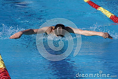 Butterfly Swimmer Stock Photo
