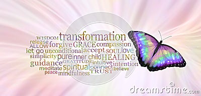 The Butterfly Symbolises Transformation Word Tag Cloud Stock Photo