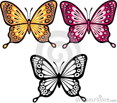 Butterfly Vector Illustration Vector Illustration
