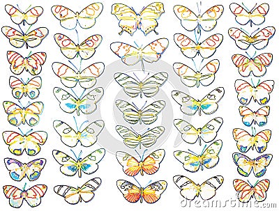 Butterfly Vectors on White Background Vector Illustration