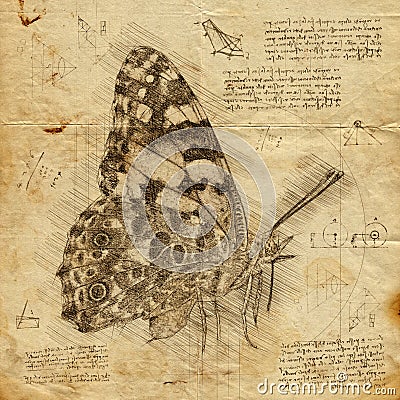 Butterfly in Vintage Steampunk Da Vinci Drawing Style Stock Photo