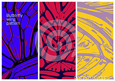 Butterfly wing abstract pattern collection. Vector Illustration