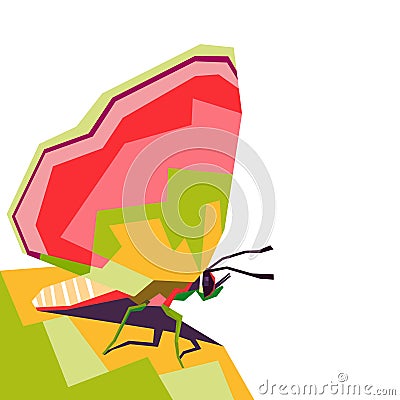 Butterfly in wpap Cartoon Illustration