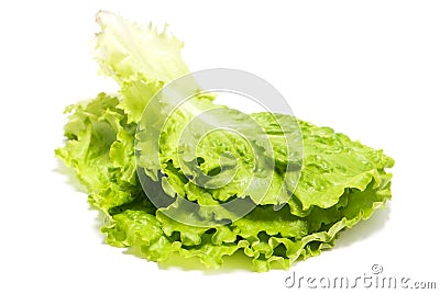 Butterhead lettuce Stock Photo