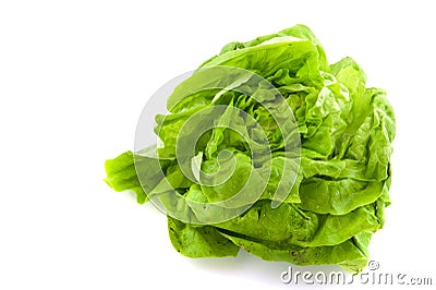 Butterhead lettuce Stock Photo