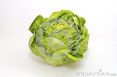 Butterhead Lettuce Stock Photo