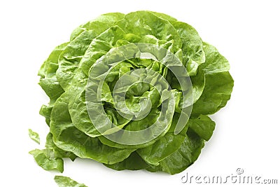 Butterhead lettuce Stock Photo