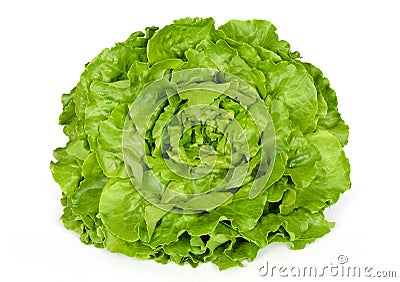 Butterhead lettuce front view over white Stock Photo