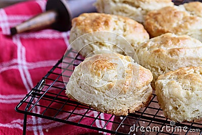 Buttermilk Southern Biscuits on Cooling Rack Stock Photo