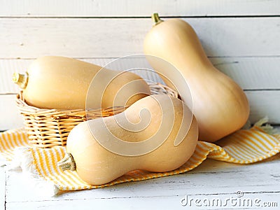 Butternut squash pumpkin group. Stock Photo