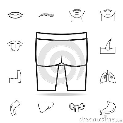 Buttocks icon. Detailed set of human body part icons. Premium quality graphic design. One of the collection icons for websites, we Stock Photo