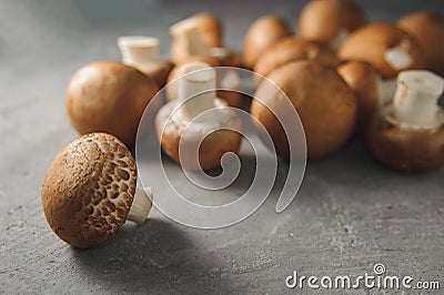 Button mushroom - swiss brown royal champignons Stock Photo