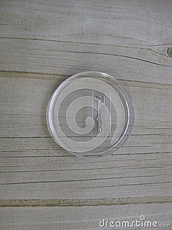 The round button icon on the pin. Stock Photo