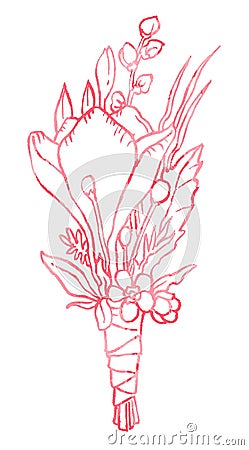 Buttonhole pink Vector Illustration