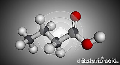 Butyric acid, butanoic acid molecule. Butyrates or butanoates are salts and esters . Molecular model Stock Photo