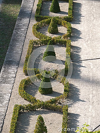 Buxus in geometry Stock Photo