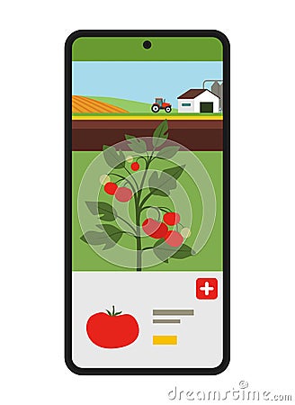 Buy vegetables directly from local farmers Vector Illustration