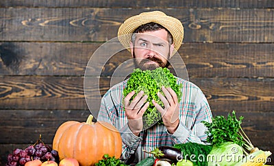 Buy vegetables local farm. Homegrown harvest concept. Typical farmer guy. Farm market harvest festival. Man mature Stock Photo